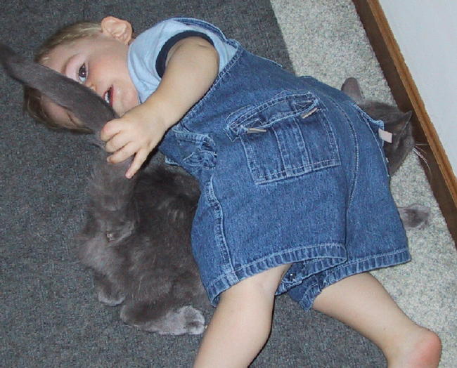 jamie tackles annabelle 3.jpg